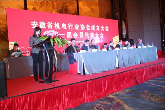 3中国机电产品进出口商会副会长刘春讲话.jpg